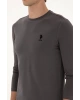 U.S. Polo Assn. Erkek Uzun Kollu Basic Sweatshirt Rahat Günlük Stil Kombin Uyumlu