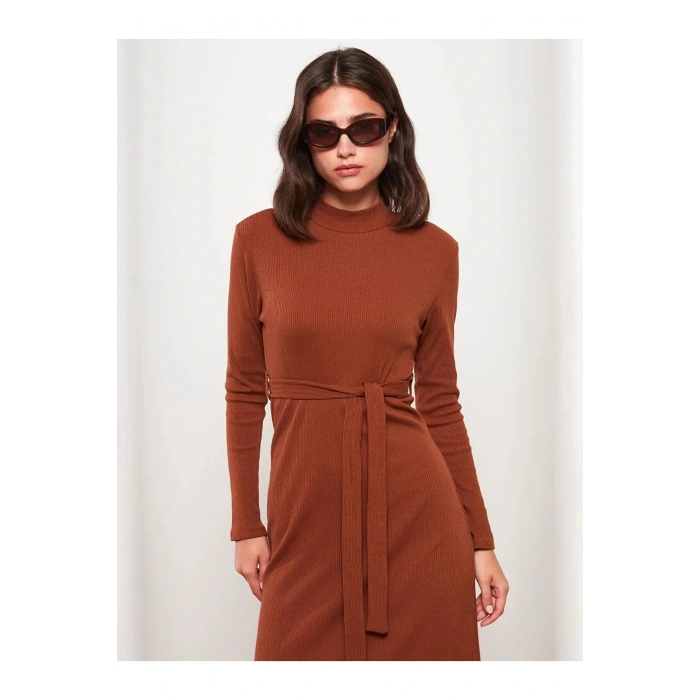 Modest Dik Yaka Düz Uzun Kollu Kadın Elbise