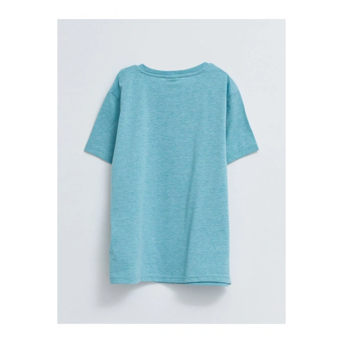 Kk.tsh.b,ınt-carso (S2)