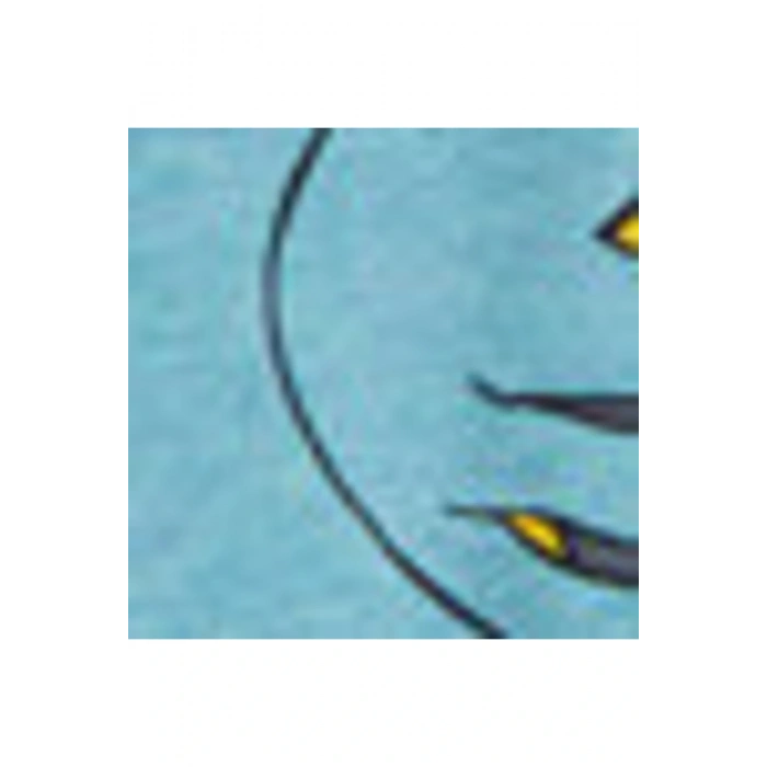 Kk.tsh.b,ınt-carso (S2)