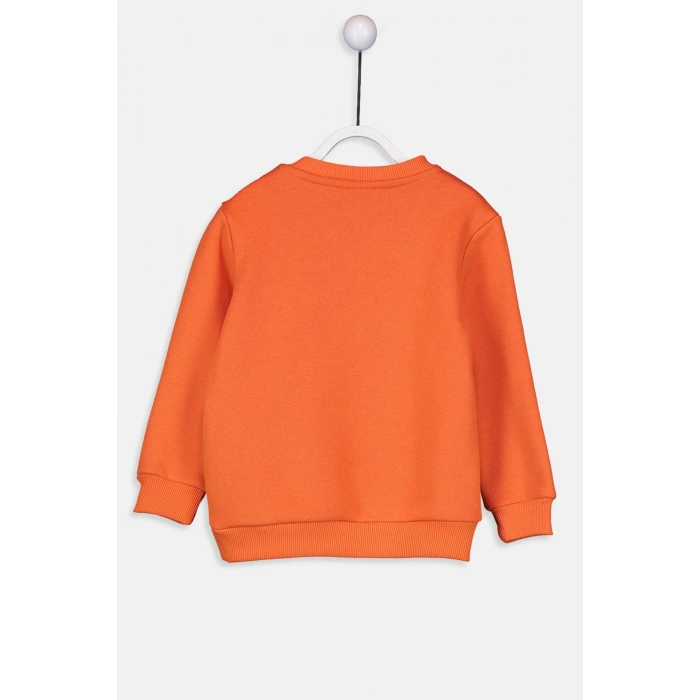 Erkek Bebek Sweatshirt Ve Eşofman