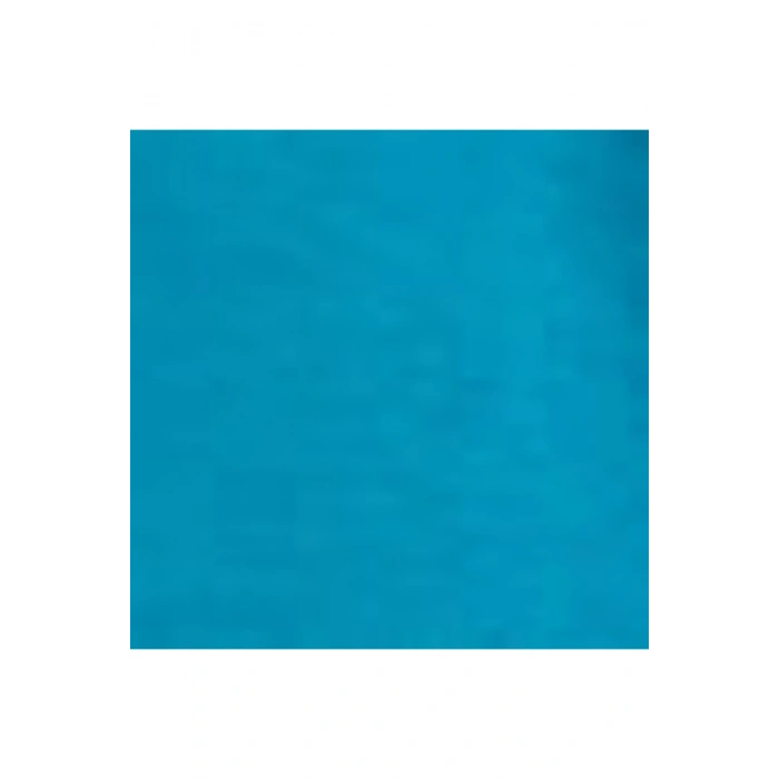 Beli Lastikli Düz Cep Detaylı Kadın Bermuda Şort