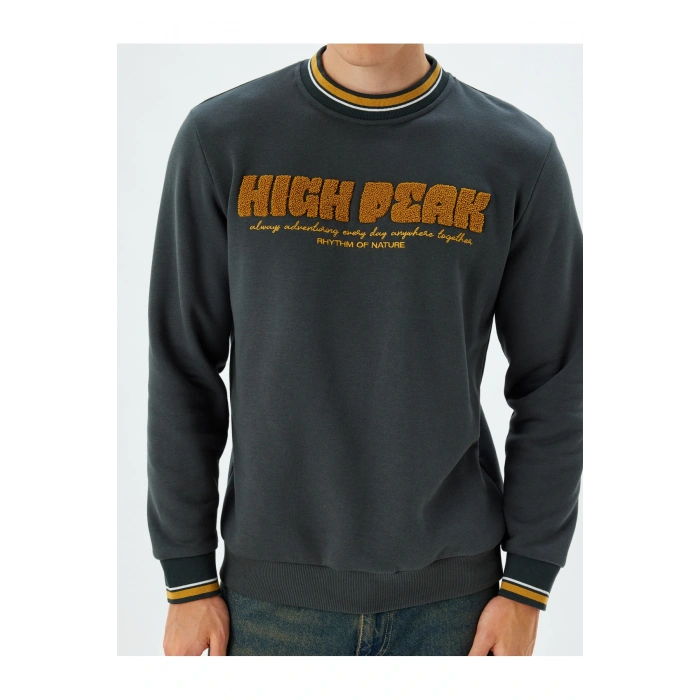 Bisiklet Yaka Sweatshirt Kolej Nakışlı Şardonlu Pamuk Karışımlı