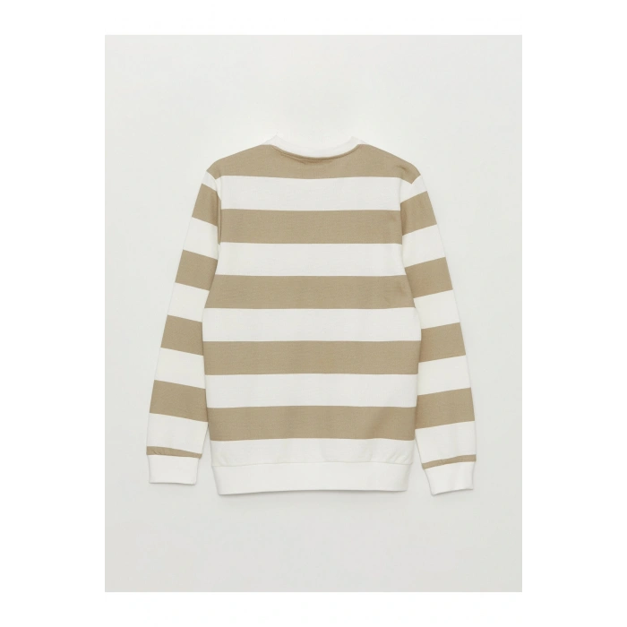 Bisiklet Yaka Uzun Kollu Çizgili Erkek Sweatshirt