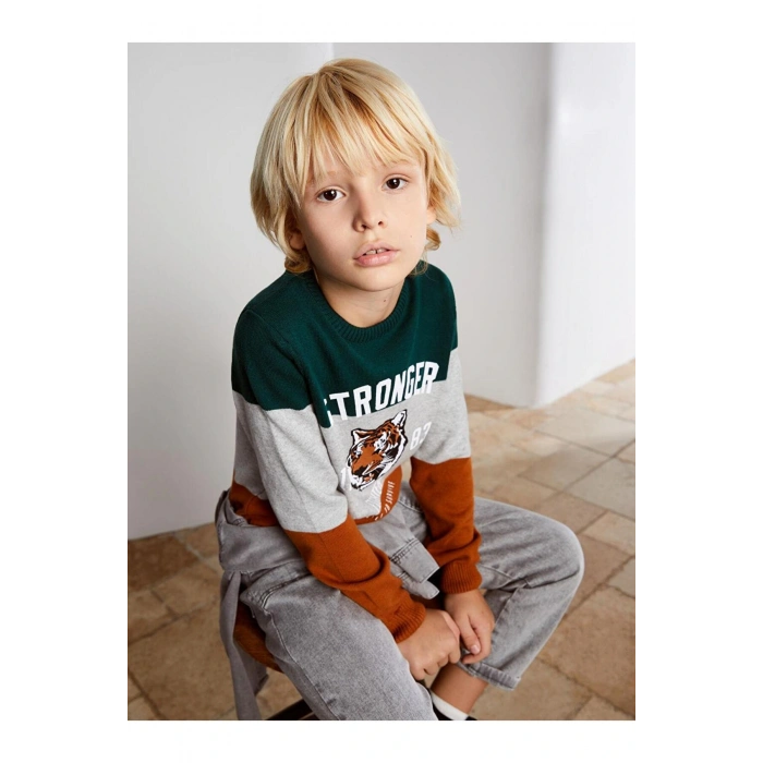 Bisiklet Yaka Desenli Uzun Kollu Erkek Çocuk Triko Kazak (ESKI)