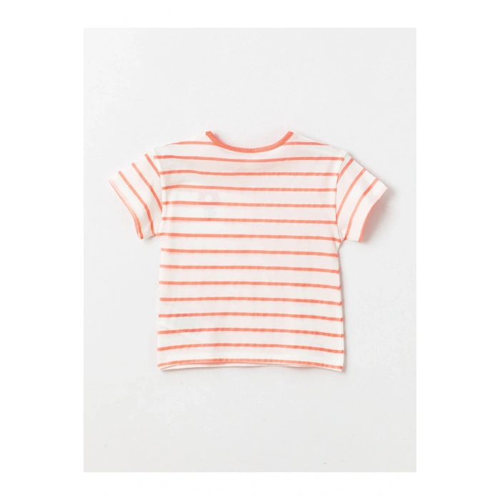 Bisiklet Yaka Kısa Kollu Çizgili Kız Bebek Tişört ve Tayt 2li Takım