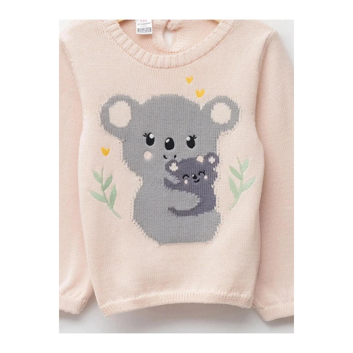 LCW baby Pembe Bisiklet Yaka Uzun Kollu Desenli Kız Bebek Triko Kazak