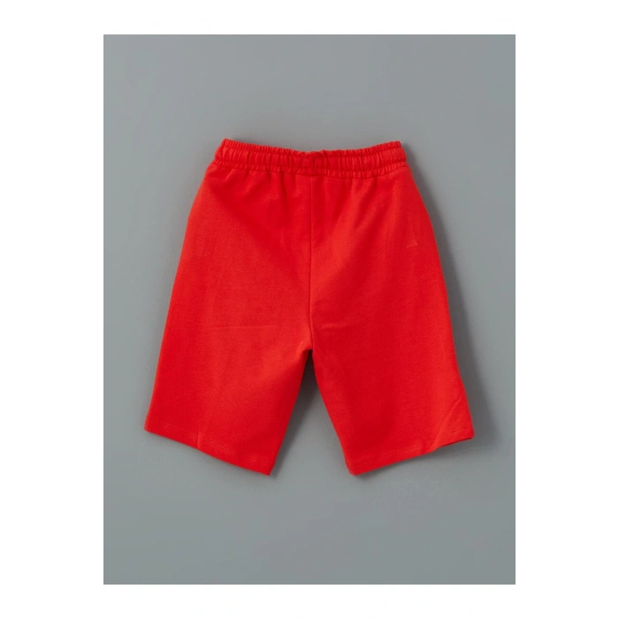 Baskılı Erkek Çocuk Tişört Ve Şort 2li (S5)