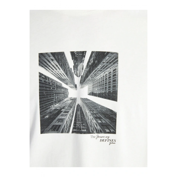 Bisiklet Yaka Kisa Kollu Baskili Penye Erkek Tisort - S52875Z8