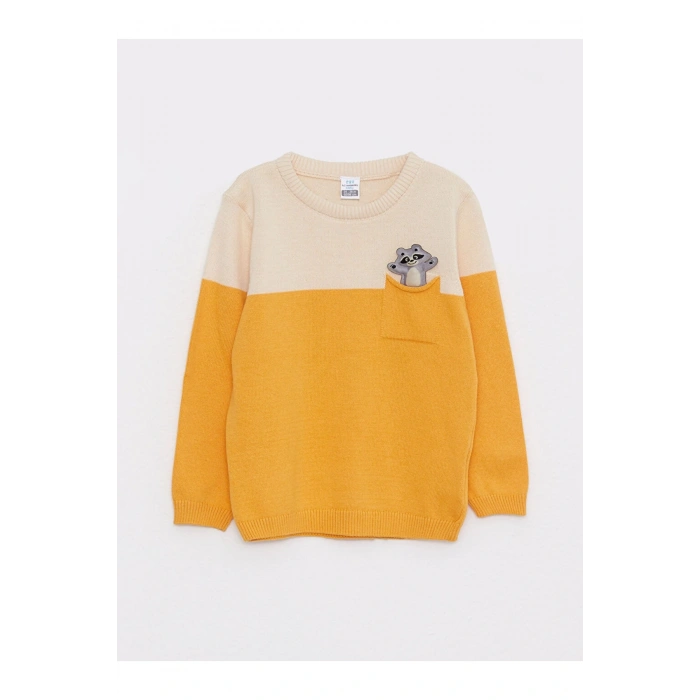 Bisiklet Yaka Uzun Kollu Renk Bloklu Erkek Bebek Triko Kazak