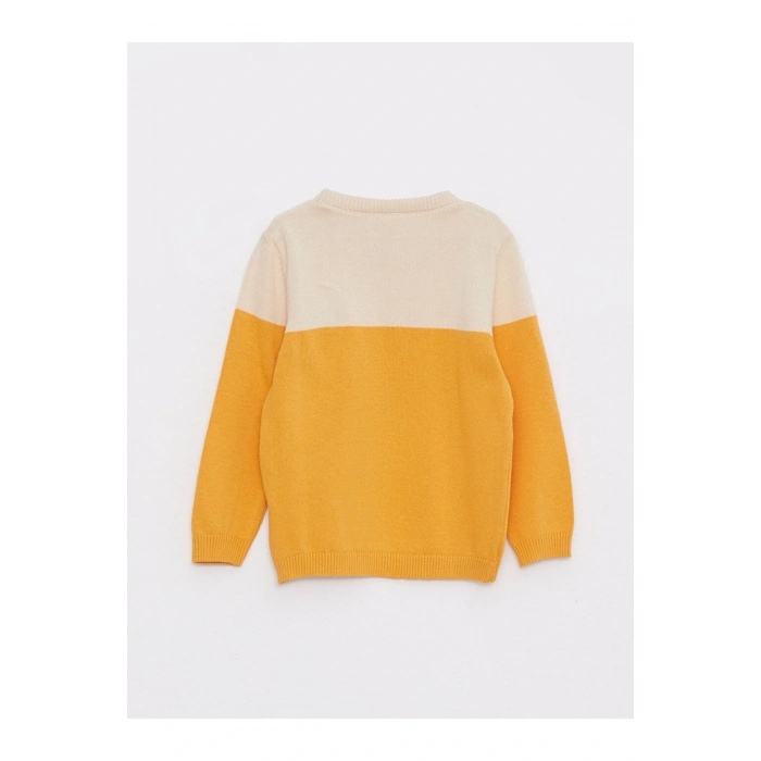 Bisiklet Yaka Uzun Kollu Renk Bloklu Erkek Bebek Triko Kazak