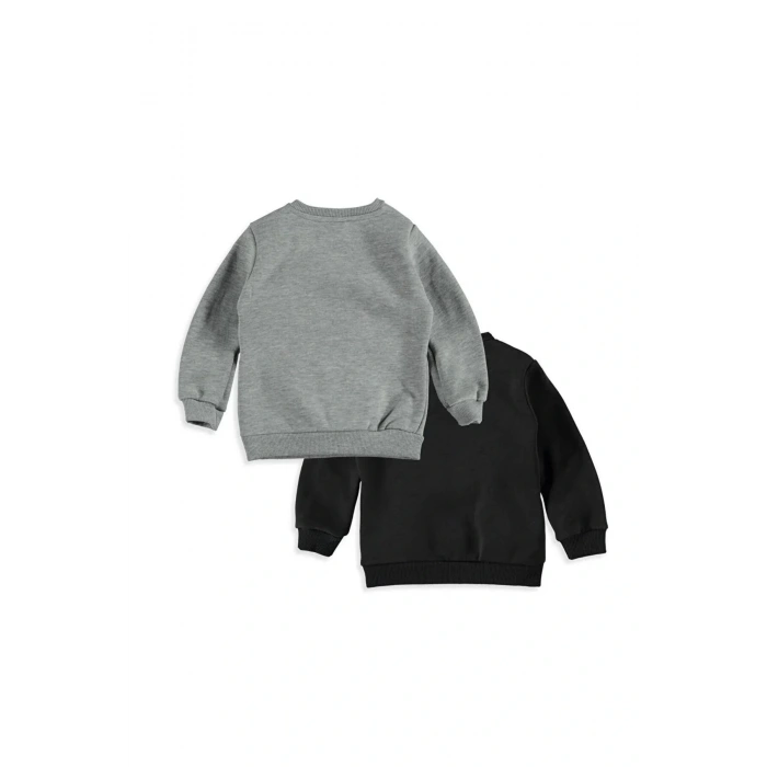 LCW baby Gri Erkek Bebek Baskılı Sweatshirt 2li