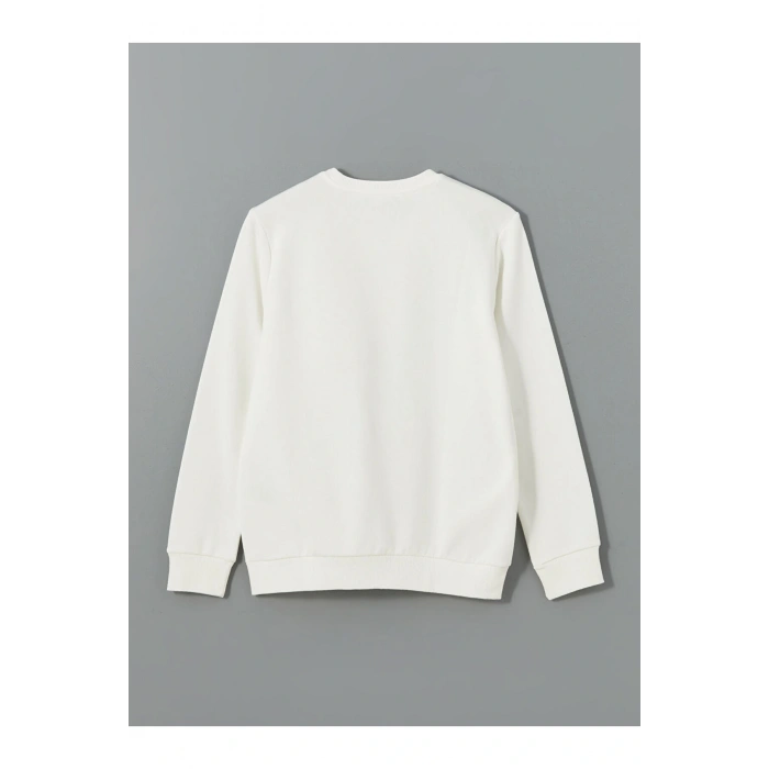 LCW Bisiklet Yaka Uzun Kollu Baskılı Erkek Kalın Sweatshirt