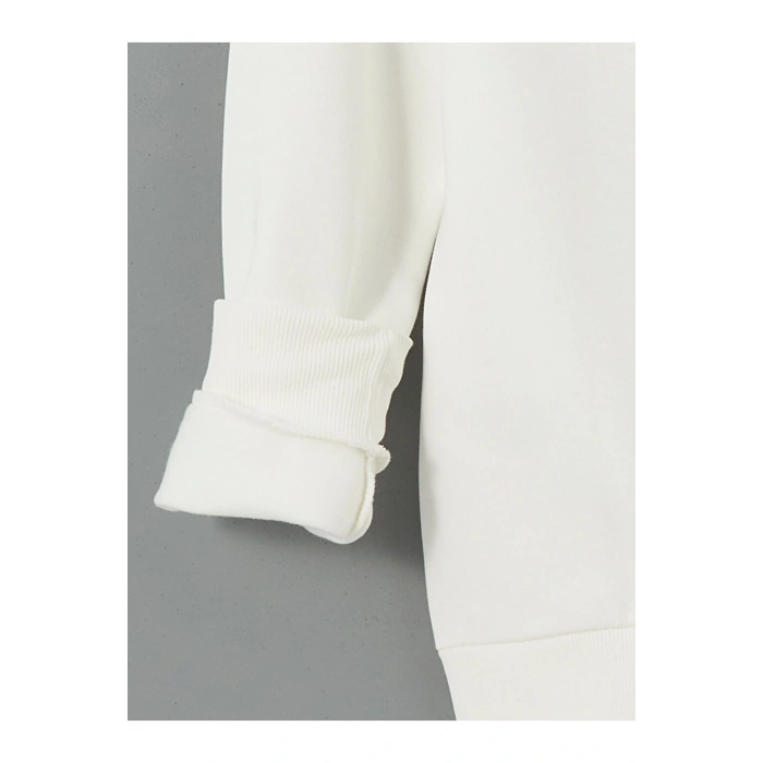 LCW Bisiklet Yaka Uzun Kollu Baskılı Erkek Kalın Sweatshirt