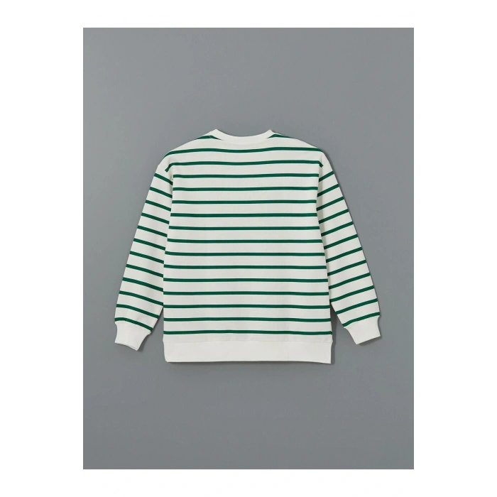 LCW Comfort Çizgili Bisiklet Yaka Çizgili Kadın Sweatshirt (W4)