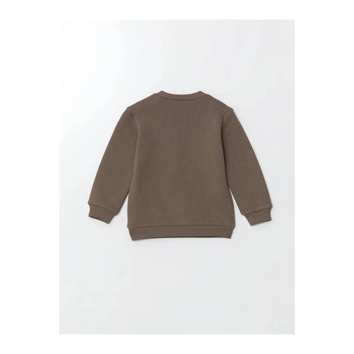 Lcw Kedi Baskılı Erkek Çocuk Sweatshirt Ve Eşofman Alt 2li