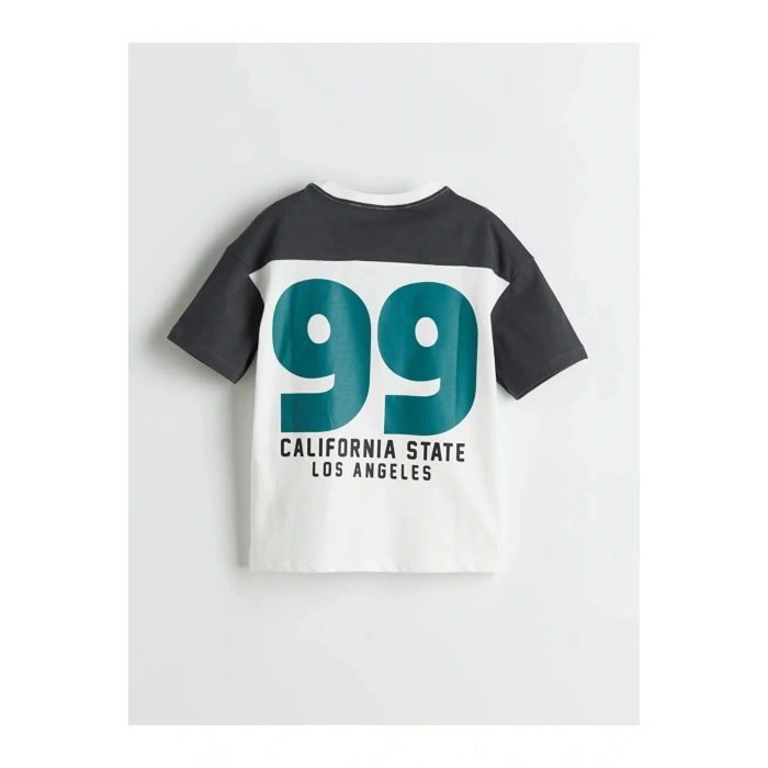 LCW Kids Antrasit Bisiklet Yaka Yazı Baskılı Erkek Çocuk Tişört