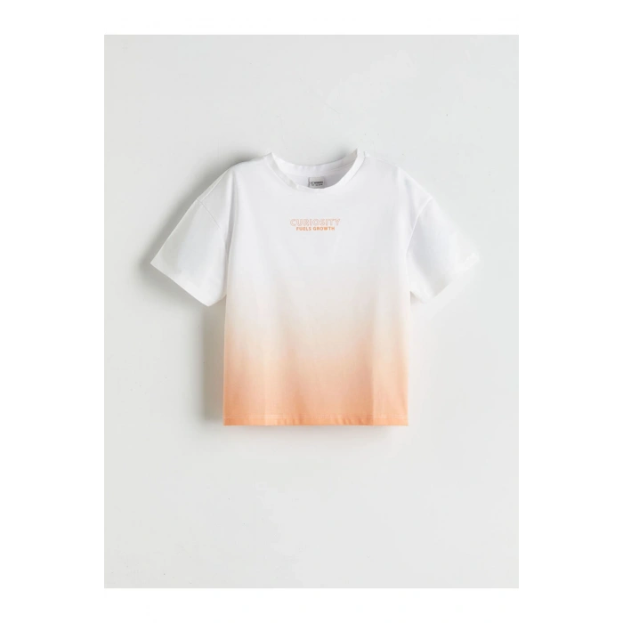 LCW Kids Beyaz Bisiklet Yaka Kız Çocuk Tişört 2li T T