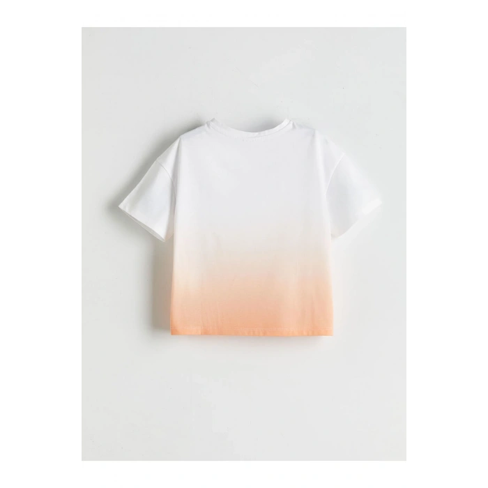 LCW Kids Beyaz Bisiklet Yaka Kız Çocuk Tişört 2li T T