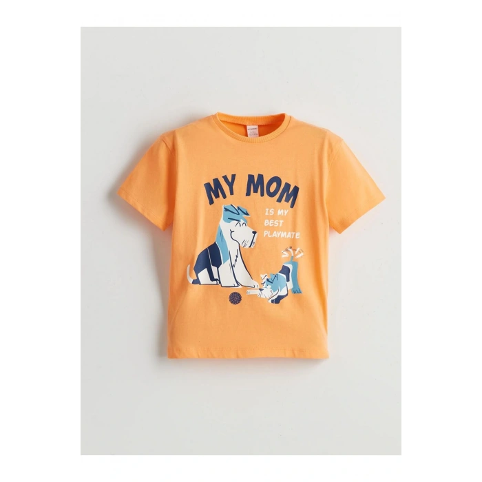 LCW Kids Bisiklet Yaka Baskılı Erkek Çocuk Tişört (S5)