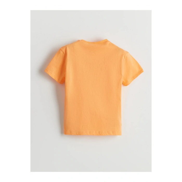 LCW Kids Bisiklet Yaka Baskılı Erkek Çocuk Tişört (S5)