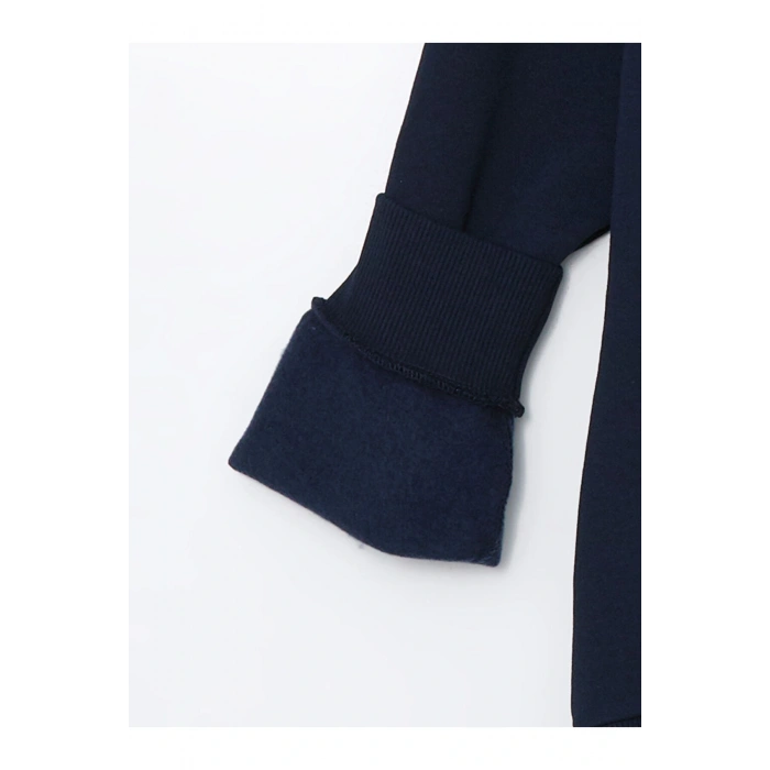 LCW Kids Bisiklet Yaka Dinozor Baskılı Erkek Çocuk Kalın Sweatshirt