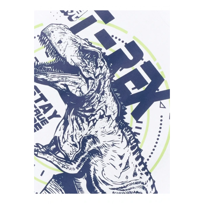 LCW Kids Bisiklet Yaka Erkek Çocuk Atlet ve Deniz Şortu