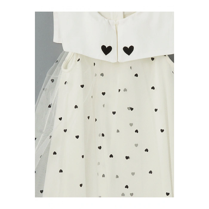 LCW Kids Bisiklet Yaka Kız Çocuk Dantel Elbise