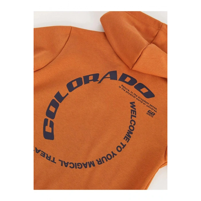 LCW Kids Kahverengi Rahat Kalıp Baskılı Erkek Çocuk Hoodie