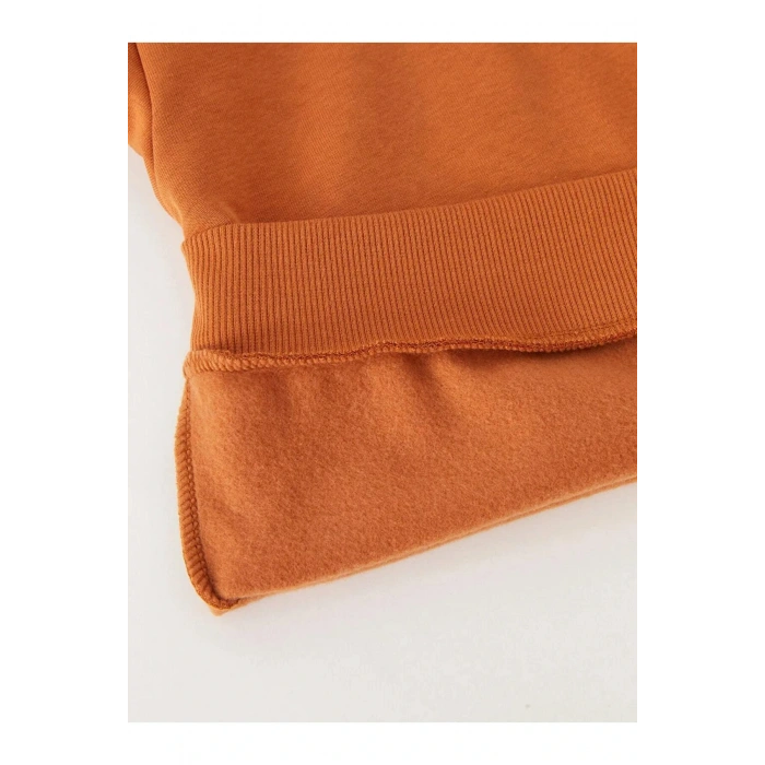 LCW Kids Kahverengi Rahat Kalıp Baskılı Erkek Çocuk Hoodie