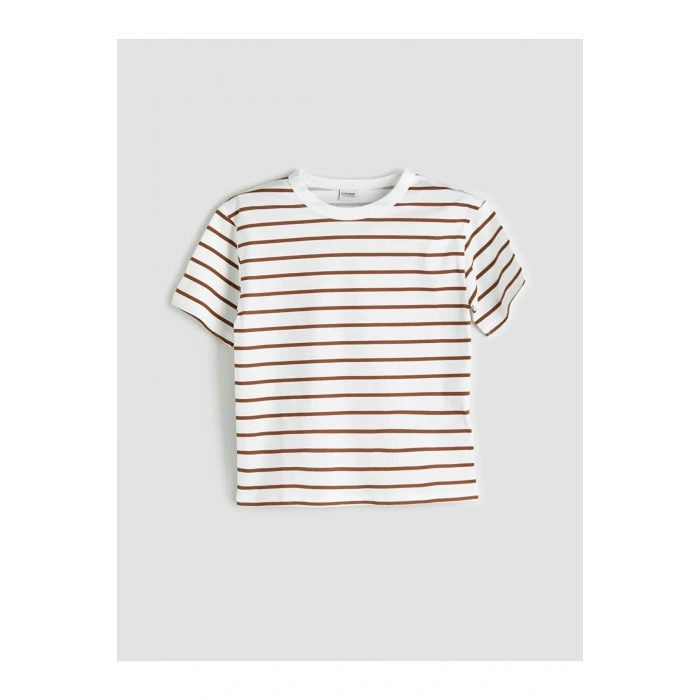 LCW Kids Mavi Bisiklet Yaka Erkek Çocuk Tişört 2li