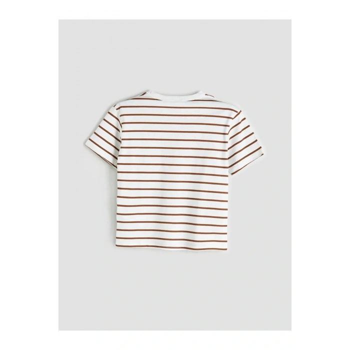 LCW Kids Mavi Bisiklet Yaka Erkek Çocuk Tişört 2li