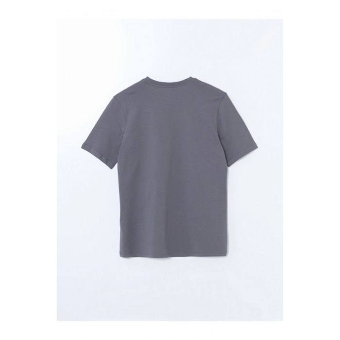 LCWAIKIKI Classic Bisiklet Yaka Kısa Kollu İstanbul Baskılı Penye Erkek Tişört