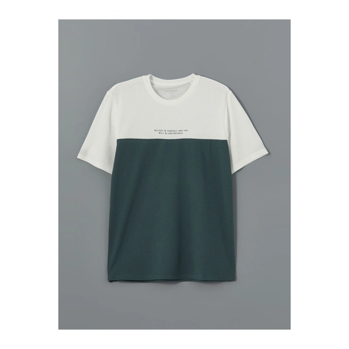 LCWAIKIKI Classic Bisiklet Yaka Kısa Kollu Renk Bloklu Erkek Tişört