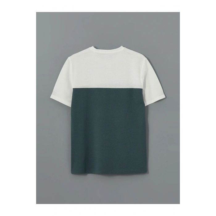 LCWAIKIKI Classic Bisiklet Yaka Kısa Kollu Renk Bloklu Erkek Tişört