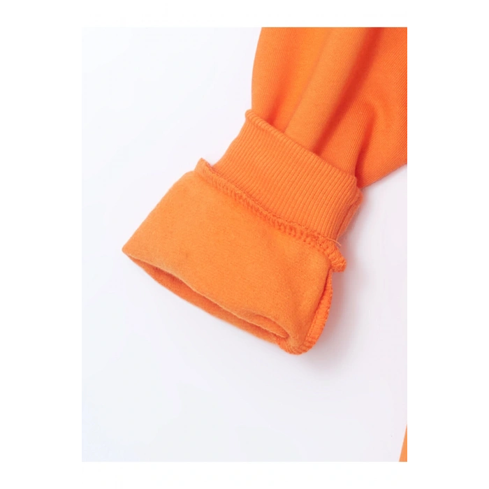 Lcwk Nostaljik Maymun Baskılı Erkek Çocuk Sweatshirt