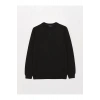 LCWAIKIKI Classic Bisiklet Yaka Uzun Kollu Erkek Sweatshirt
