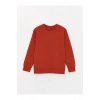 Bisiklet Yaka Basic Uzun Kollu Erkek Çocuk Sweatshirt