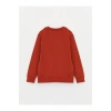 Bisiklet Yaka Basic Uzun Kollu Erkek Çocuk Sweatshirt