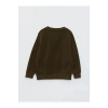 LCW Kids Yeşil Bisiklet Yaka Basic Uzun Kollu Polar Erkek Çocuk Sweatshirt