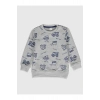 LCW baby Turkuaz Erkek Bebek Baskılı Sweatshirt 2li