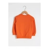 LCW baby Turuncu Erkek Bebek Baskılı Sweatshirt