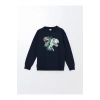 LCW Kids Bisiklet Yaka Dinozor Baskılı Erkek Çocuk Kalın Sweatshirt