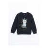 LCW Kids Bisiklet Yaka Kız Çocuk Kalın Sweatshirt (W4)