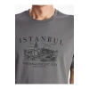 LCWAIKIKI Classic Bisiklet Yaka Kısa Kollu İstanbul Baskılı Penye Erkek Tişört