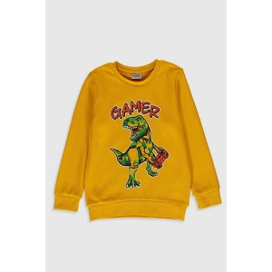 Erkek Çocuk Orta Sarı Fx3 T-Shirt