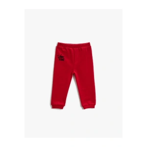 Erkek Çocuk Kırmızı Pamuklu Eşofman Altı Baskılı