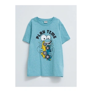 Kk.tsh.b,ınt-carso (S2)