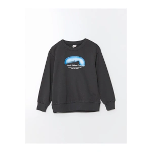 Bisiklet Yaka Erkek Cocuk Sweatshirt - W48363Z4