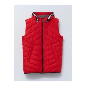 Lcw Kids Kırmızı Kapüşonlu Baskılı Erkek Çocuk Şişme Yelek